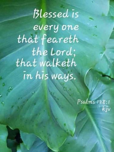 FB_IMG_1659405745389