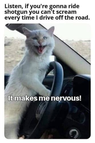 300959731_5081515131957731_190526461346393111_n