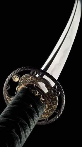 306284348_439943938111043_2554929104576322156_n