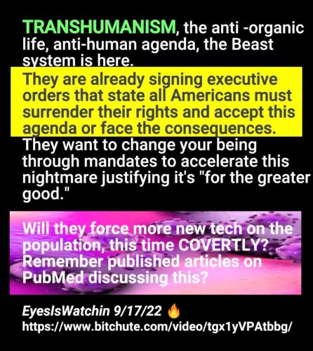 Screenshot_2022-09-20-09-02-11-839_com.google.android.apps.photos