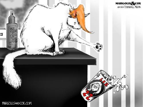 mc-TrumpCat_web20220809120000