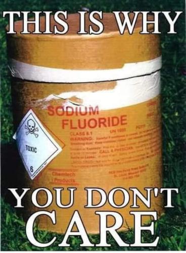 FB_IMG_1663822342804