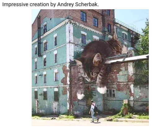 Screenshot_2022-09-13-21-39-35_kindlephoto-85623123