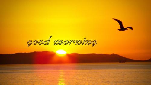 05:15:27 GMT-0700