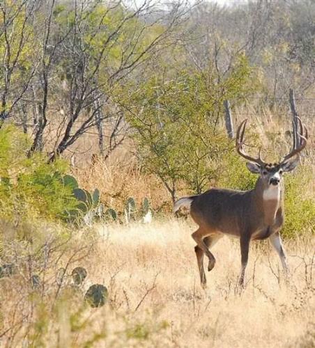 MdPz36t7PiqNfrnjEi1qSQ