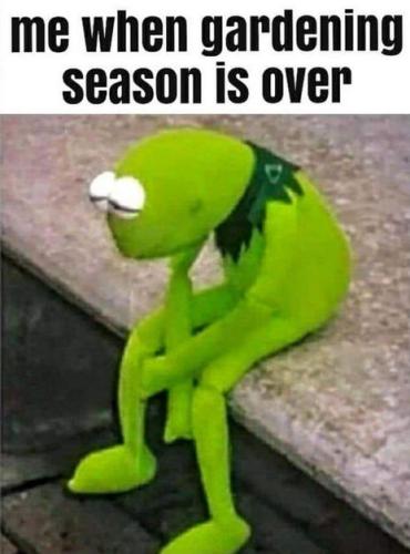 me when gardening season is over
