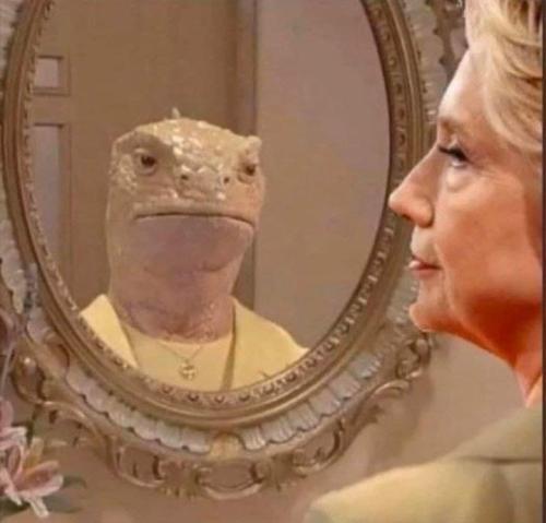 hillary lizard ref