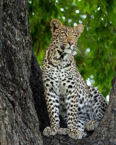 tumblr_cfb1cb0ce24ccdc90baff38782656879_72c859d9_540