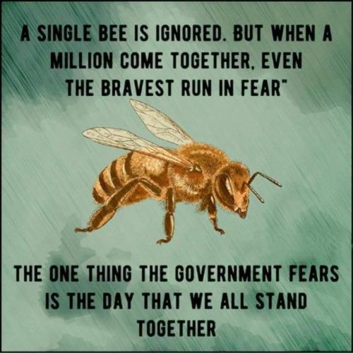 FB_IMG_1662123480845