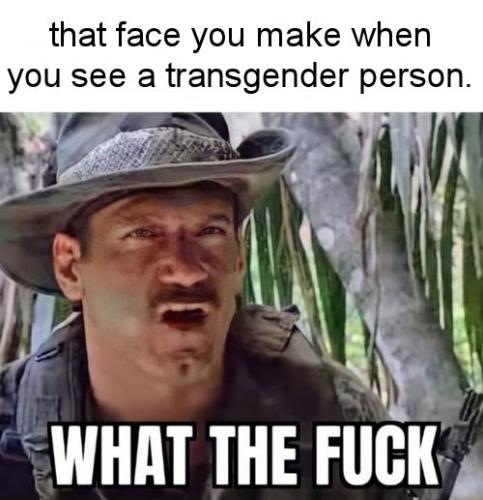 transgender235