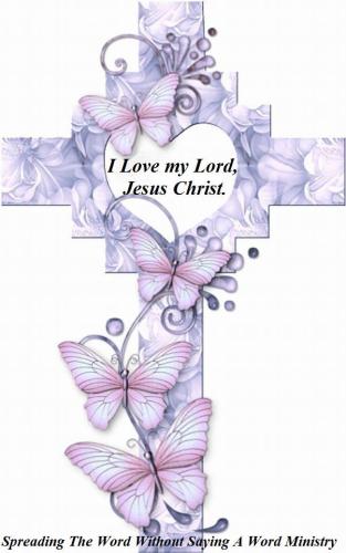 11002612_942703369145128_1563658417423340679_n