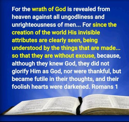 Screenshot_2022-09-09-07-00-23-083_com.google.android.apps.photos