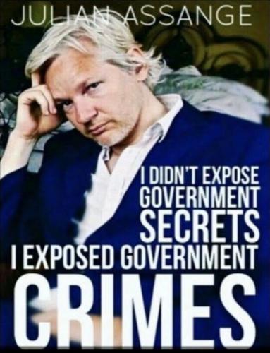 julian assange24