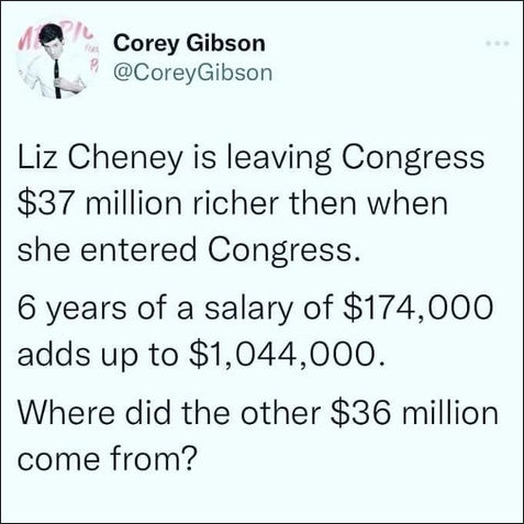 liz cheney13