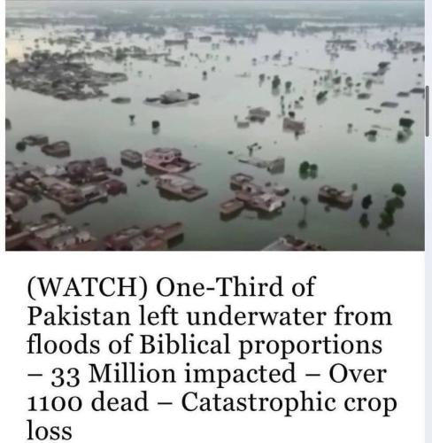 IMG_20220902_152235_415