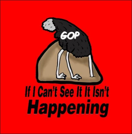 rinos06