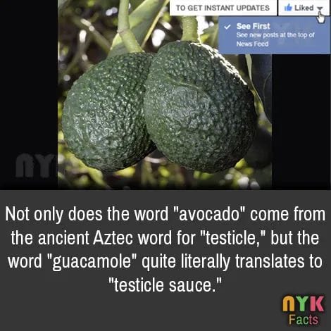 304779319_1409367779594825_8836568199351635446_n