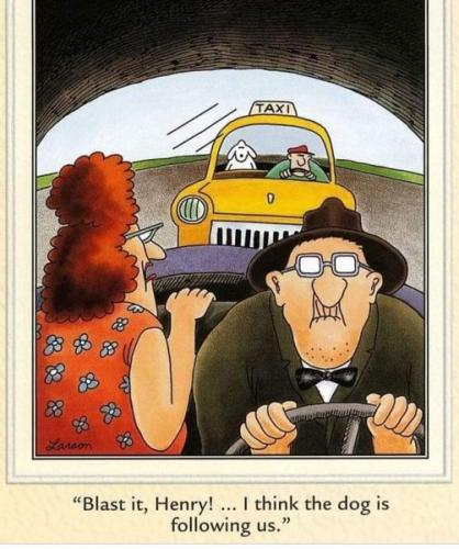 307877153_10220101945848188_5626415742281015206_n