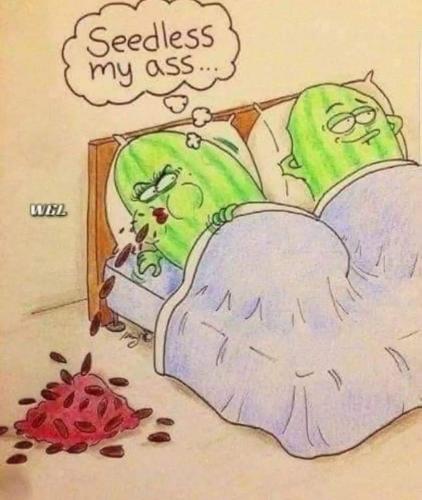 FB_IMG_1662488616102