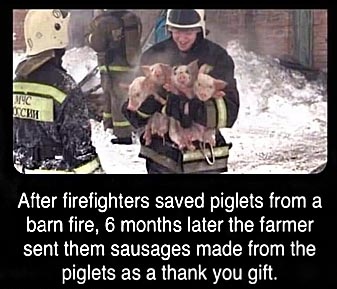 306648693_1549845862195252_6637360938832309435_n