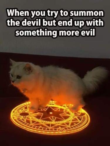 306036935_5842549709111111_1825163963080110087_n