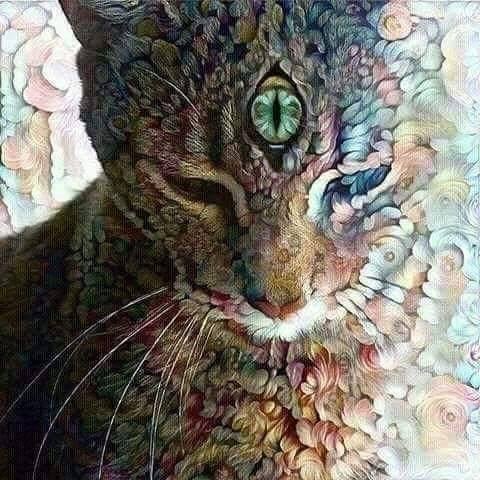 ,                                                                                                                                                                                                                          0 f