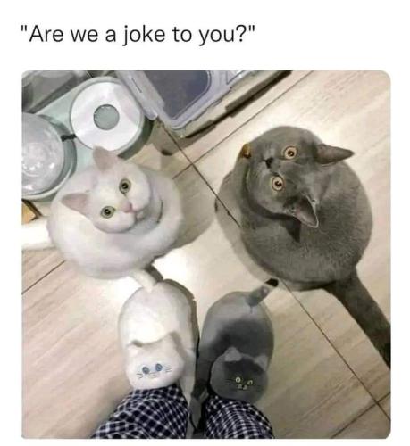 FB_IMG_1662747620546