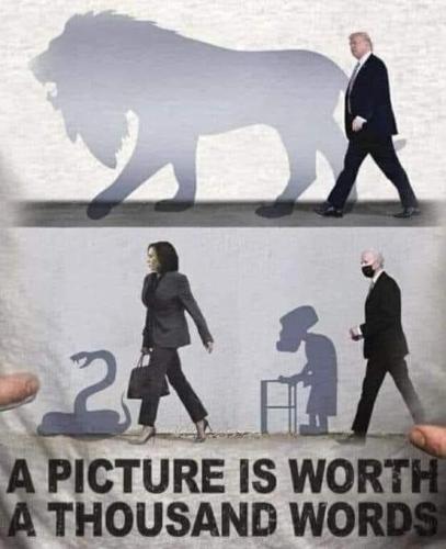 dfbe4081-7eca-4658-b6b5-f72614e3d041