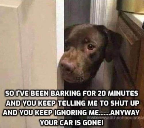 FB_IMG_1663702363060