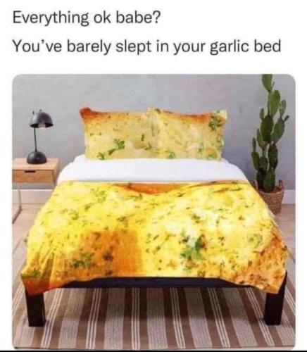 Garlic Bed