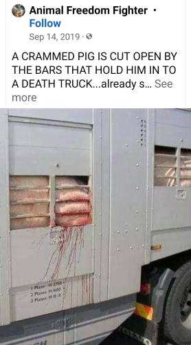 Screenshot_2022-09-15-08-28-08-846_com.facebook.katana