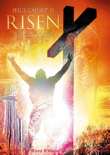 12115540_941141815967950_1540660324846768160_n