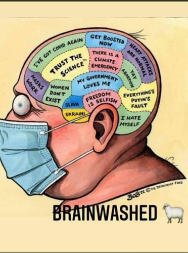 IMG_20220824_022356_572