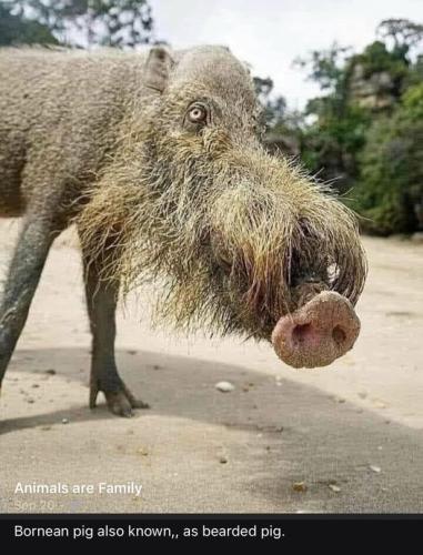 304975486_5428788807169843_2301255134848328208_n