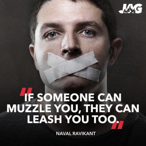 302434388_1802098500151478_6384115527277095033_n