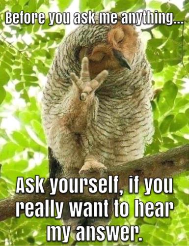 photostudio_1655791733872