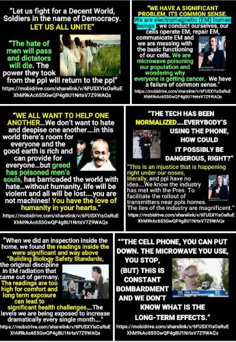 Screenshot_2022-09-09-08-38-09-887_com.google.android.apps.photos