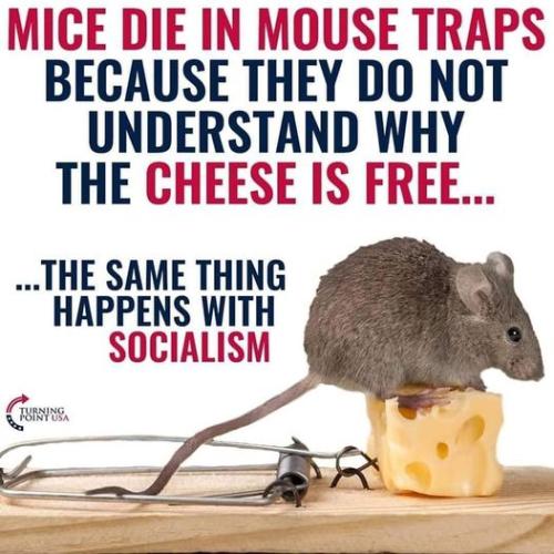 304918955_799100994446625_756659239680715989_n