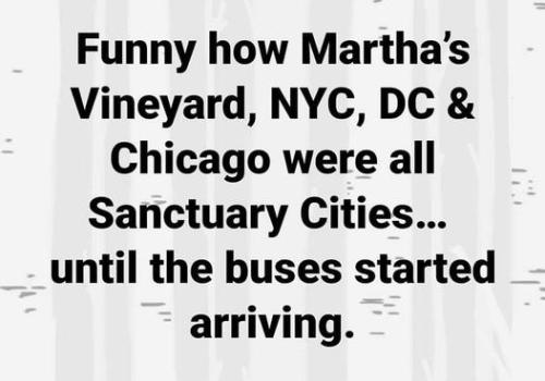 307722892_6283499773562_8635513255076424902_n