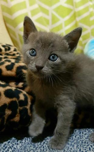 FB_IMG_1662004862014