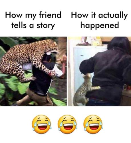 FB_IMG_1662127135088