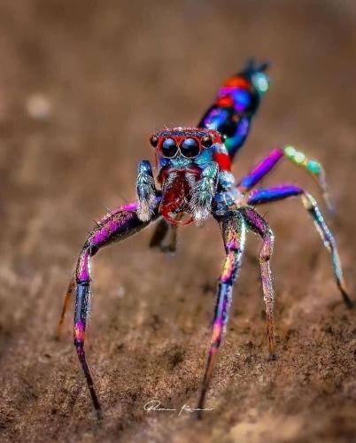 306650614_8377125685638632_8385407128826413000_n