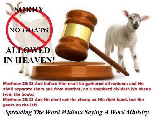 12132541_936993669716098_5189731157636509430_o