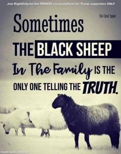 dfc769c8-d015-438b-ac03-ced841326289