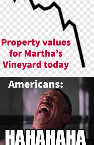 8BF43AA2-76CC-4E11-961D-F6BB3A03D1B8