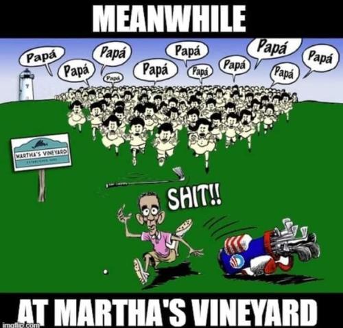 306743612_636975381434667_597830467166458221_n