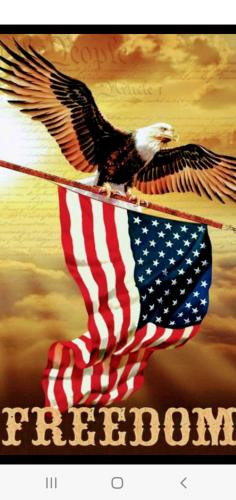 ae250df8-0335-4ec6-940f-5f684540a02c