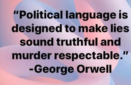 Political Language