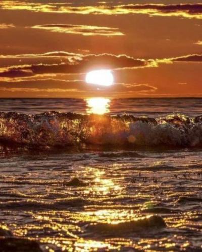 ,                                                                                                                                                                                                                          0 g