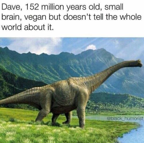 305356320_653817162741943_4653881113959741342_n